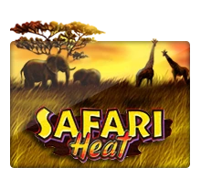 Safari Heat - STARBET388