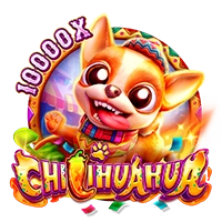CHILIHUAHUA - STARBET388
