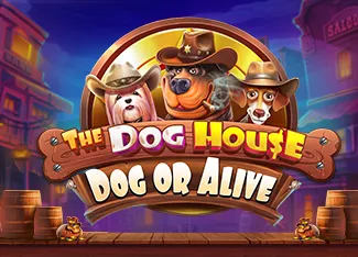 The Dog House - Dog or Alive - STARBET388