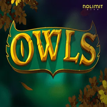 Owls - STARBET388