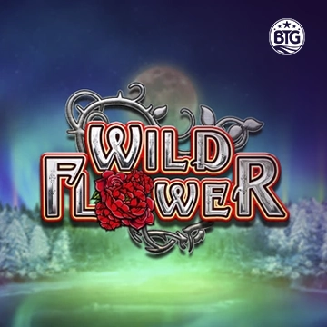 Wild Flower - STARBET388
