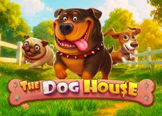The Dog House - STARBET388